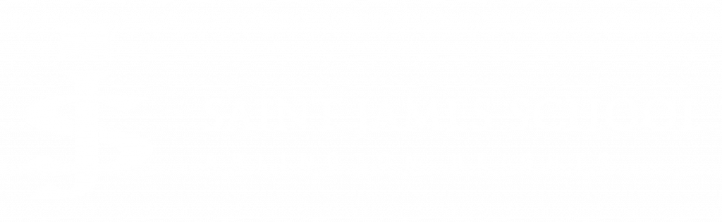 donate-saint-james-parish-arlington-heights-catholic-church